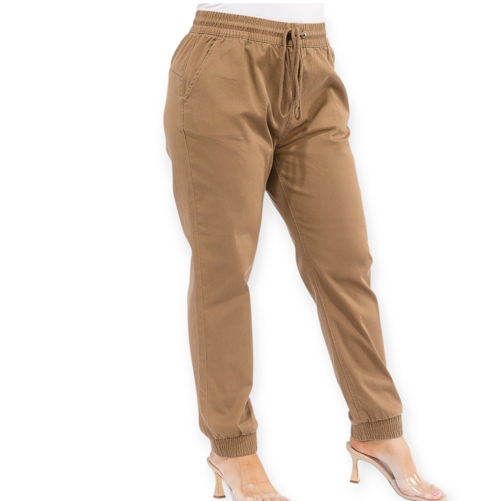 Sky Women's Brown Jogger Pants